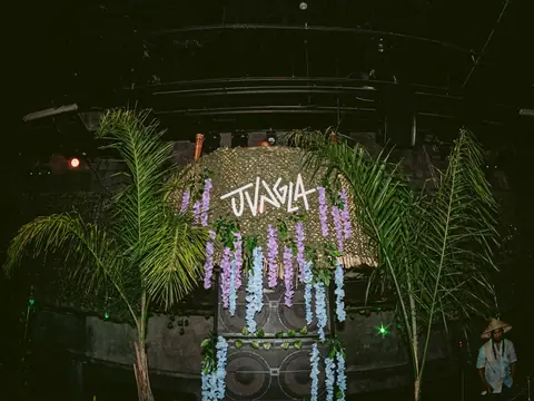 Tropical-themed night with plants and green lighting at The Catwalk Club (Thu 28 October)